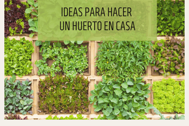 Ideas para hacer un huerto en casa