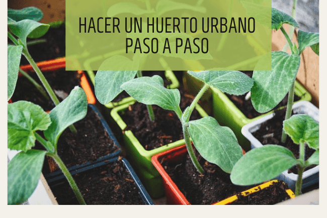 Cómo hacer un huerto urbano paso a paso