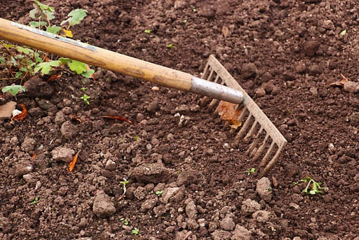 Suelo franco tipo de suelo apto para la agricultura