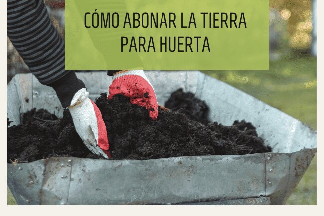 Cómo abonar la tierra para huerta Cómo abonar la tierra para huerta