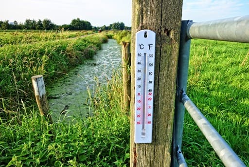 Temperatura temperatura