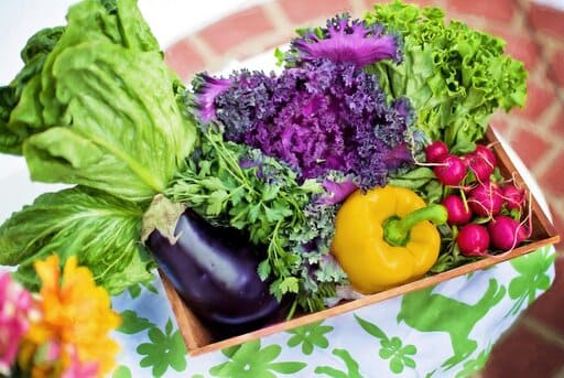 Alimentos saludables huerto ecologico