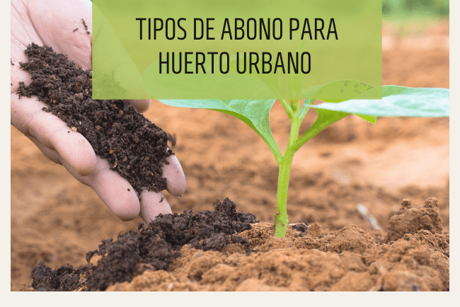 Tipos de abono para huerto urbano