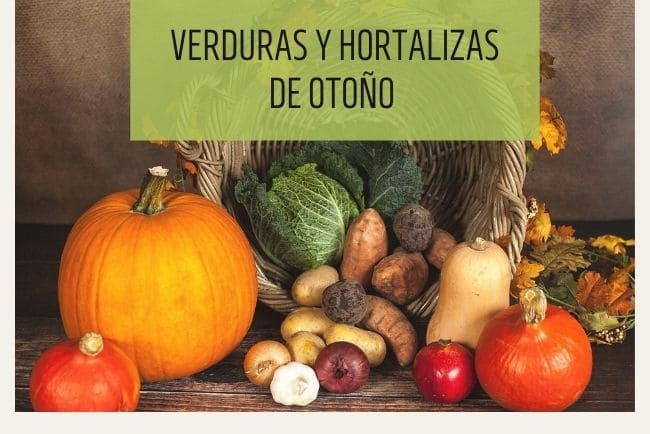Verduras y hortalizas de otoño