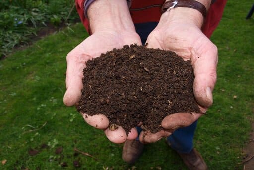 Sustrato para el cultivo de aromáticas cultivo de aromaticas