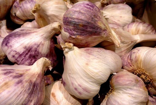 hortalizas de otoño