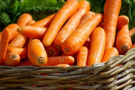 verduras de otoño