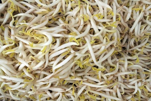 brotes germinados