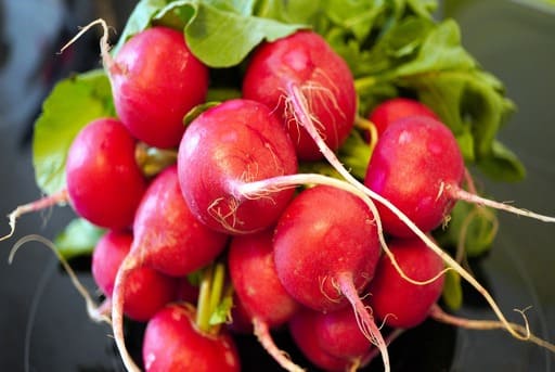 ejemplos de tuberculos
