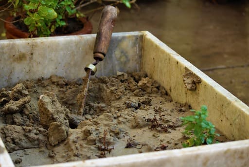 Sembrado como error en la huerta errores en la huerta