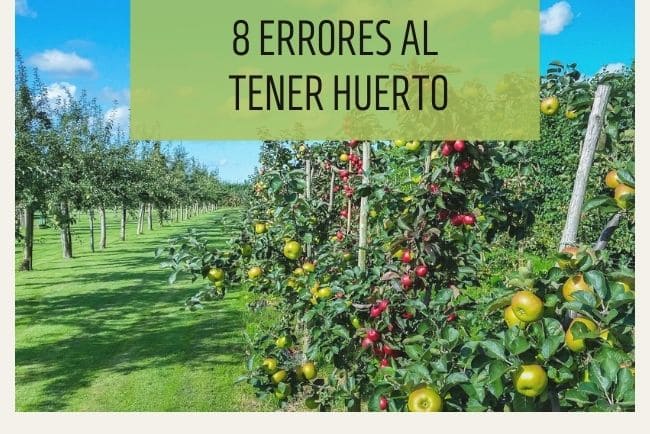 8 errores de principiante a la hora de tener un huerto