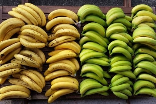 Plátanos platanos