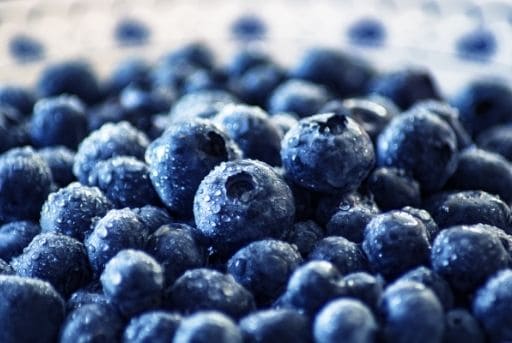 Arándanos frutas con mas proteinas