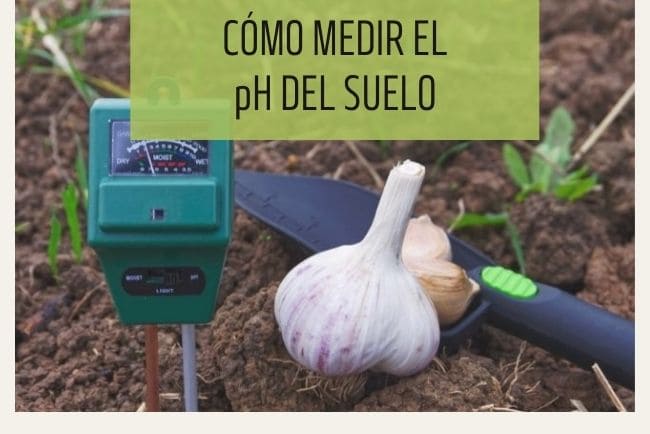Cómo saber el pH del suelo de un huerto