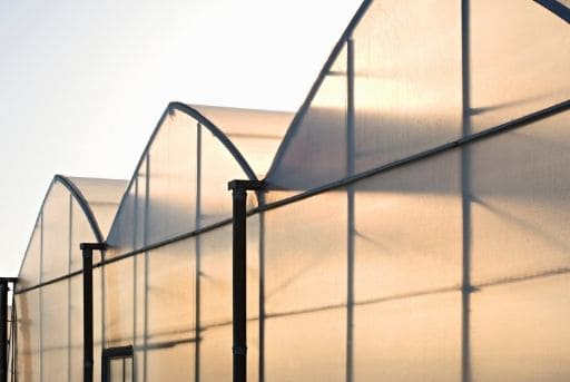 Instalar invernaderos proteger plantas de heladas