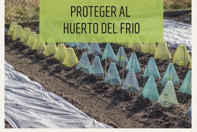 Cómo proteger el huerto del frío