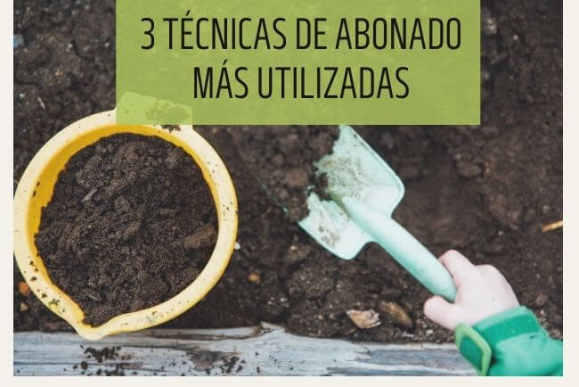 3 técnicas de abonado más utilizadas