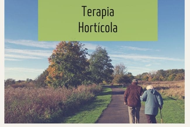 Hortoterapia ¿Qué es y para qué sirve?
