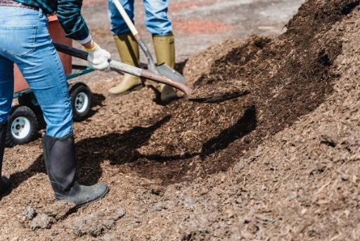Abono para desinfección huerto Abono para desinfección