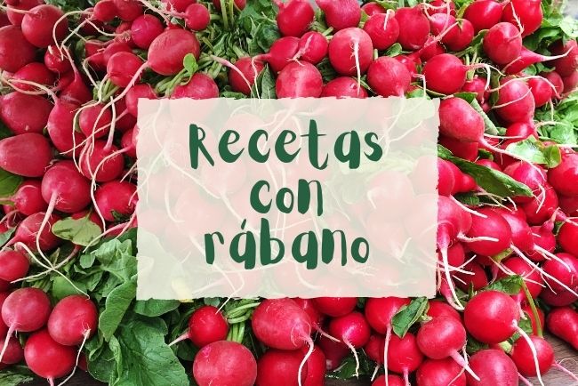 Recetas con rábano