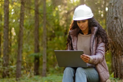 Proyectos de reforestación de Ecosia