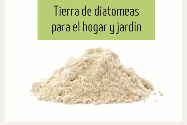 Tierra de diatomeas: usos y medidas en tu hogar y jardín